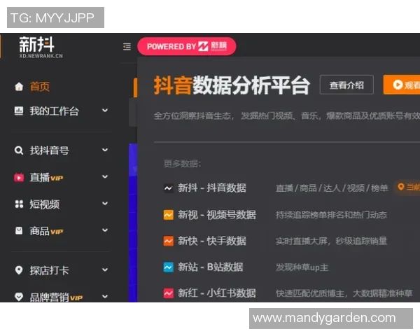 游戏内Plus助手功能全面升级数据分析能力显著增强助力玩家决策